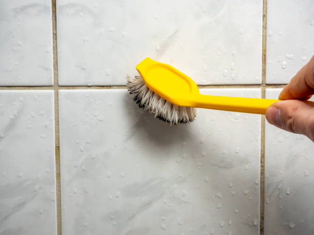 Best Toxic Mold Removal  in Bellefonte, DE